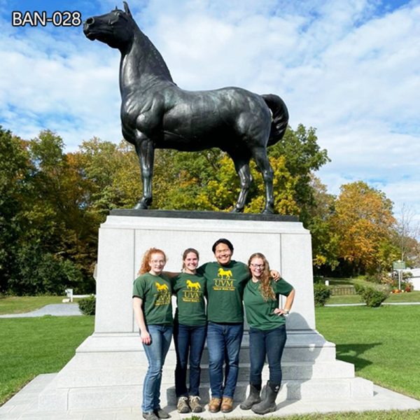 Outdoor Large Bronze Morgan Horse Statue Manufacturer (1)